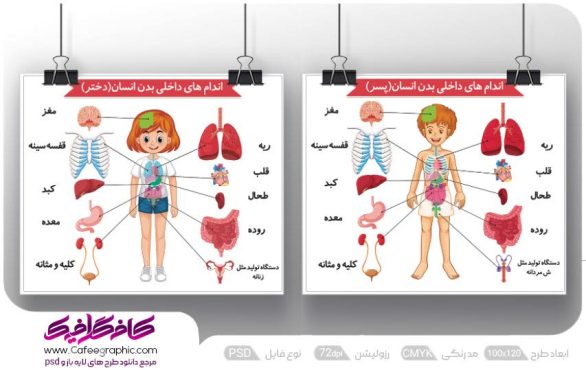 طرح آموزشی آناتومی بدن انسان