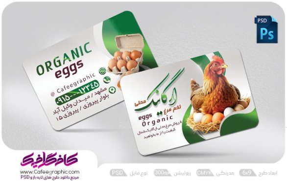 طرح کارت ویزیت تخم مرغ محلی